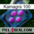 Kamagra 100 04